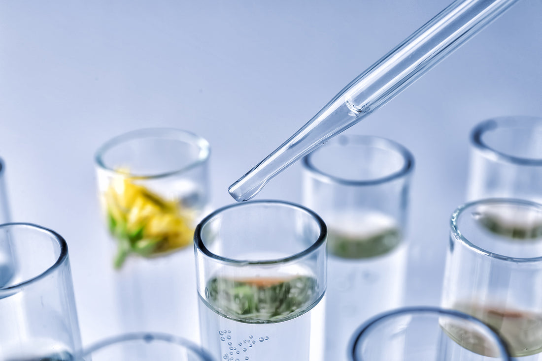 Why Natural Ingredients Matter: The Glow Majesty Philosophy